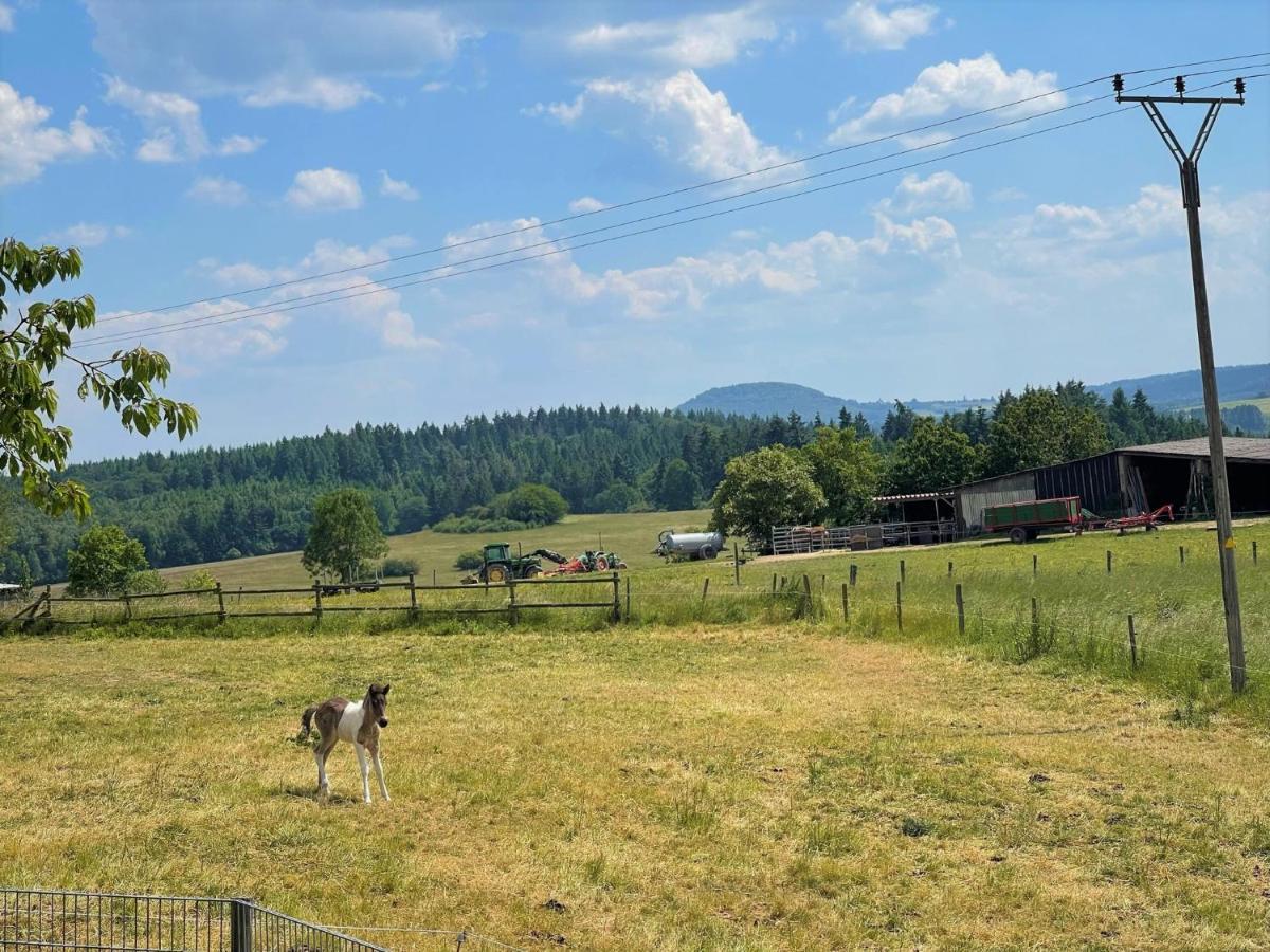 Ferienwohnung Eifel Hummel Exterior photo